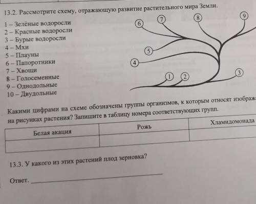 13.2 13.3 рассмотрите решат только биологи 