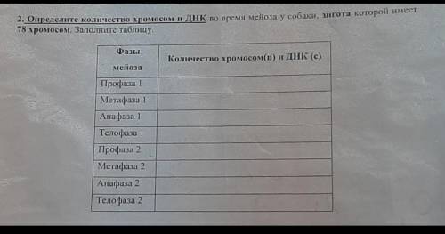 ,не понимаю как нарисовать 