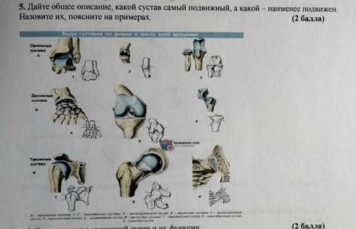 Дайте общее описания СОР ПО БИОЛОГИИ 