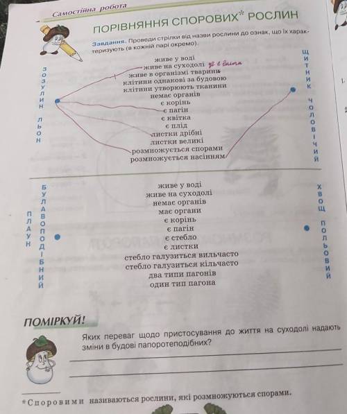 1 вправу повністю.Плз іть ів ​