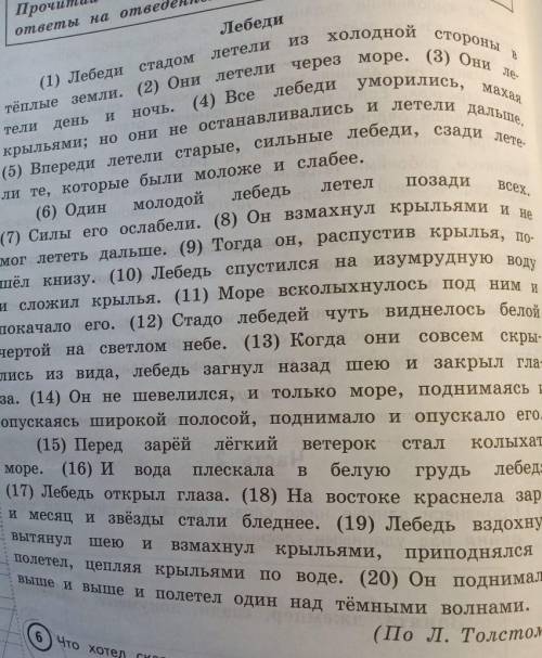 Составь и запиши план текста из трёх пунктов в ответе ты можешь использовать сочетания слов или пред