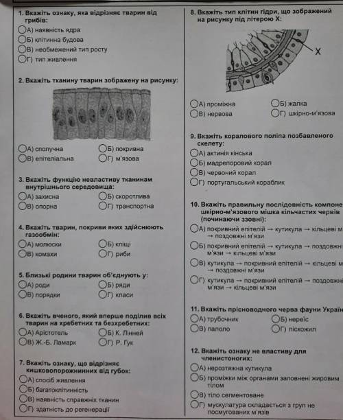 с Алимпусом надо до 18:00 
