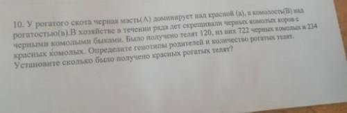 Задача по генетикеподробное решение телят 1200, наверное