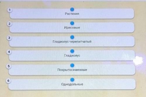 Установите последовательность расположения систематических таксонов начиная с наименьшего