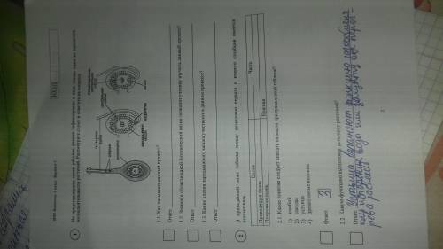 СДЕЛАЙТЕ ВПР ПО БИОЛОГИИ.6 КЛАСС.