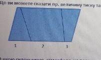 Що ви можете сказати пр. величину тиску та силу тиску на дно посудини в усіх відсіках 