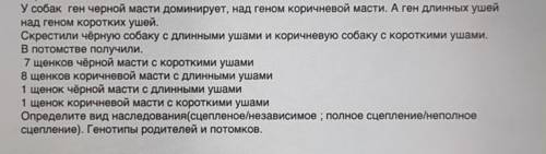 Задача по генетике, 10 класс