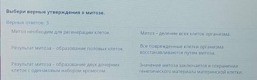 Митоз. Мейоз. Биологическое значение митоза и мейоза Выбери верные утверждения о митозе. 