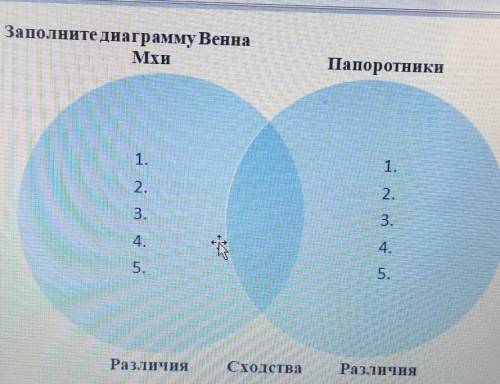Заполните диаграмму ВеннаMхиПапоротники