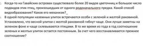 , ответьте на эти два вопроса, про птиц и улиток, 