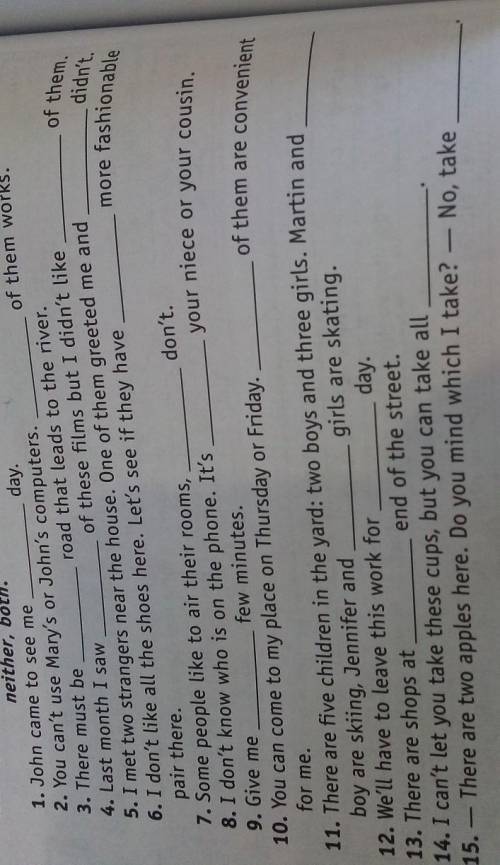 Complete the sentences below with another, (the) other (s), either, neither, both.