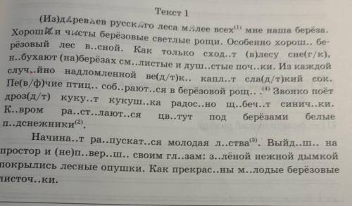 надо раставить запятые и вставить пропущенные буквы 