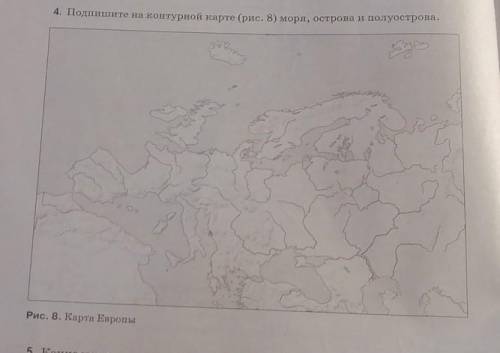 Подпишите на контурной карте (рис. 8) моря, острова и полуострова 