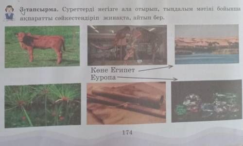 3 упражнение лучший ответ и в течение 20 минут 