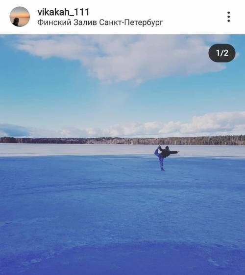 Опишите фотографию мою по плану впр 7 класс