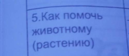 Как животномуснежный барс 