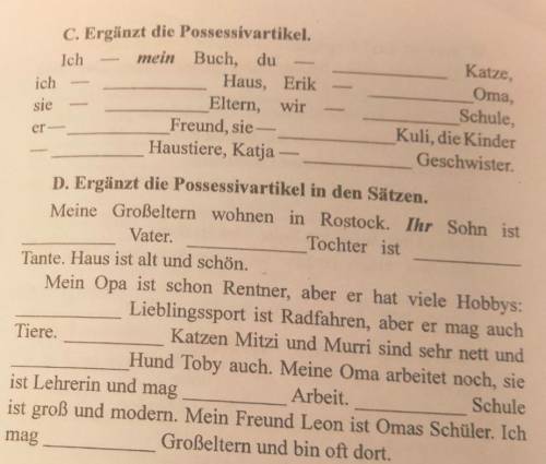Ergänzt die PossessivartikelРешить C и D