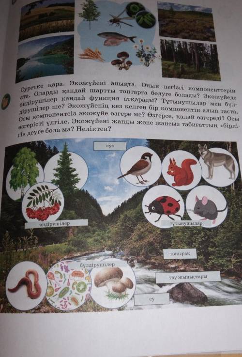 Суретке қара. Экожүйені анықта. Оның негізгі компонентте өндірушілер қандай функция атқарады? Тұтыну