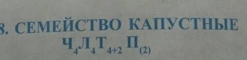 Это по биологии можете объяснить именно что означает ⁴+² и (²)
