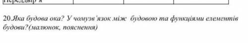 До іть будь ласка будову ока зробили а 2 питання іть 