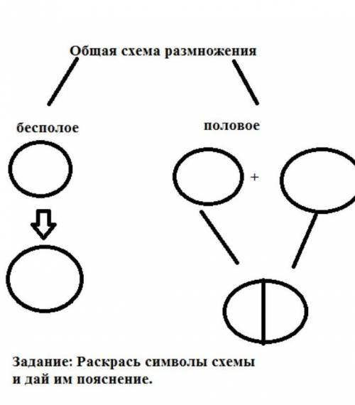 Задание: Раскрась символы схемыи дай им пояснение. 