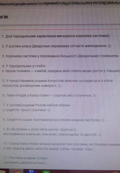 Да или нет только правильно