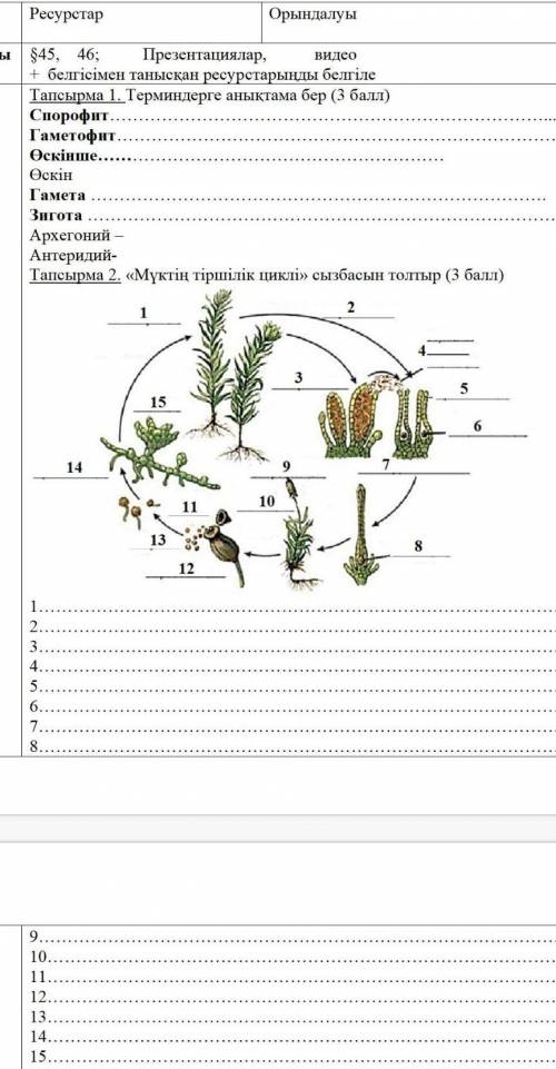 Тапсырма 1. Терминдерге анықтама бер ( ) Спорофит 