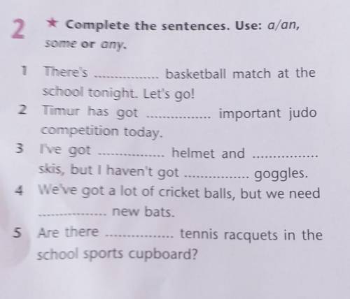 Complete the sentencès.Use a/an,some/any ex2