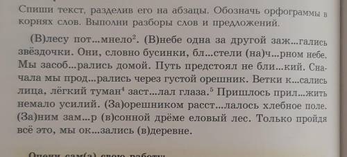 плэз разделить по абзацам .