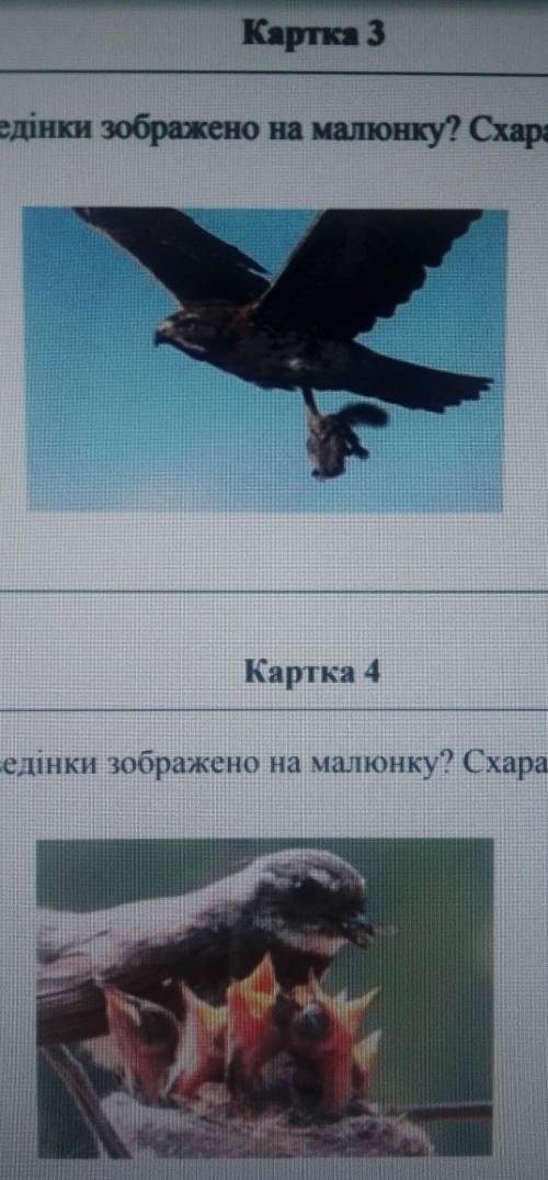 Яку форму поведінки зображено на малюнку? Схарактеризуйте її.