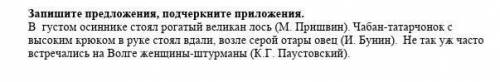 Запишите предложения, подчеркните приложения. В густом осиннике стоял рогатый великан лось. Чабан-т