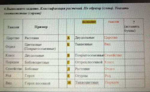Классификация растений по образцу слева указать соответствие справа