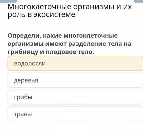 Водорослидеревьягрибытравы 