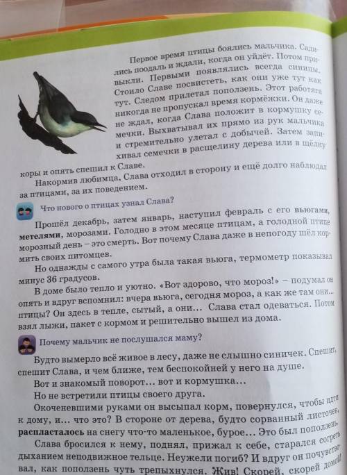 Запиши план рассказа Лесная кормушка всего 5 частей