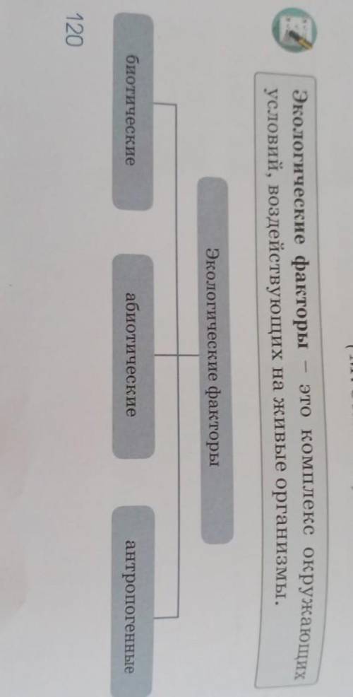 Напишите доклад на тему антро пакетные факторы + и -