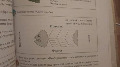 Заполните схему скелет рыбы 