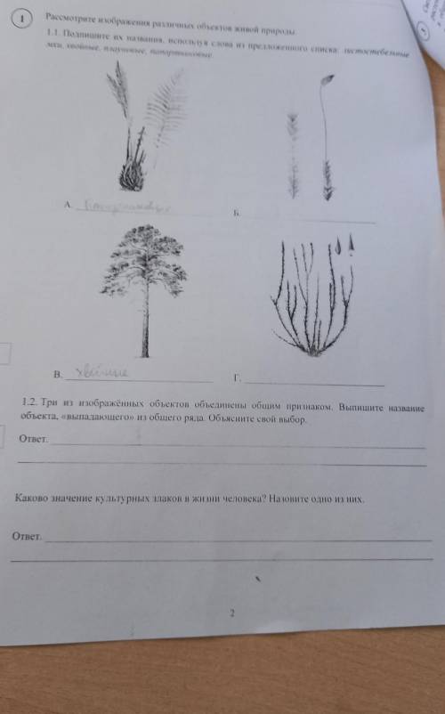 , если можете, я просто тупая