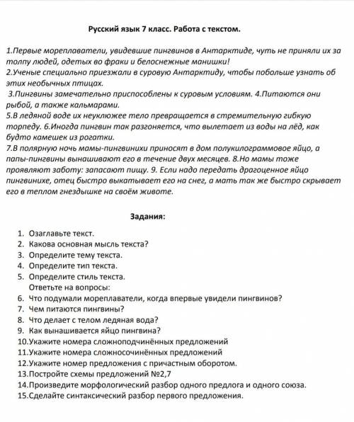 по русскому языку 7 класс
