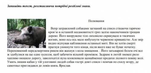 спишіть текст поставляючи розділові знаки