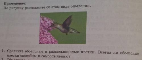 Сравните обоеполые и раздельнополые цветки. Всегда ли обоеполые цветки к самоопылению? 