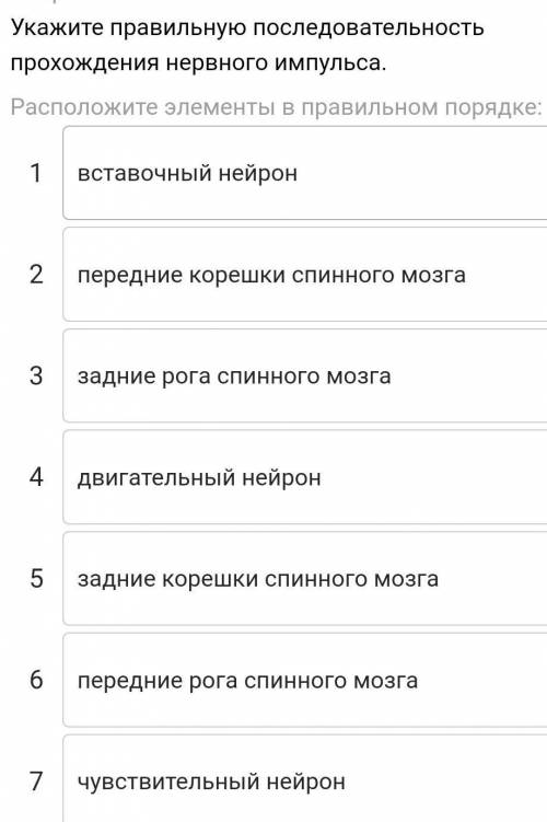Укажите правильную последовательность прохождения нервного импульса.