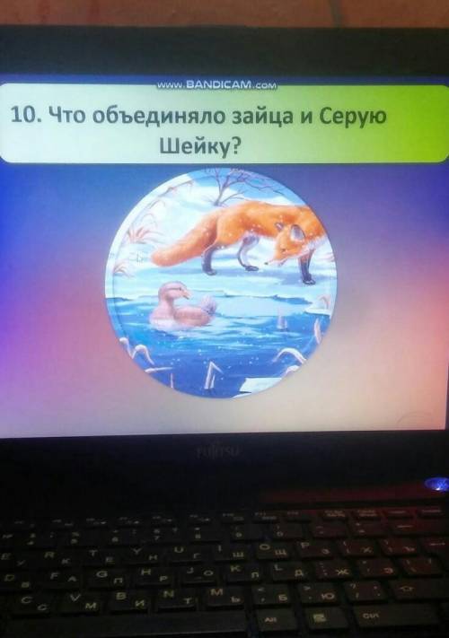 Что объединяет зайца и серую рассказ Серая шейка