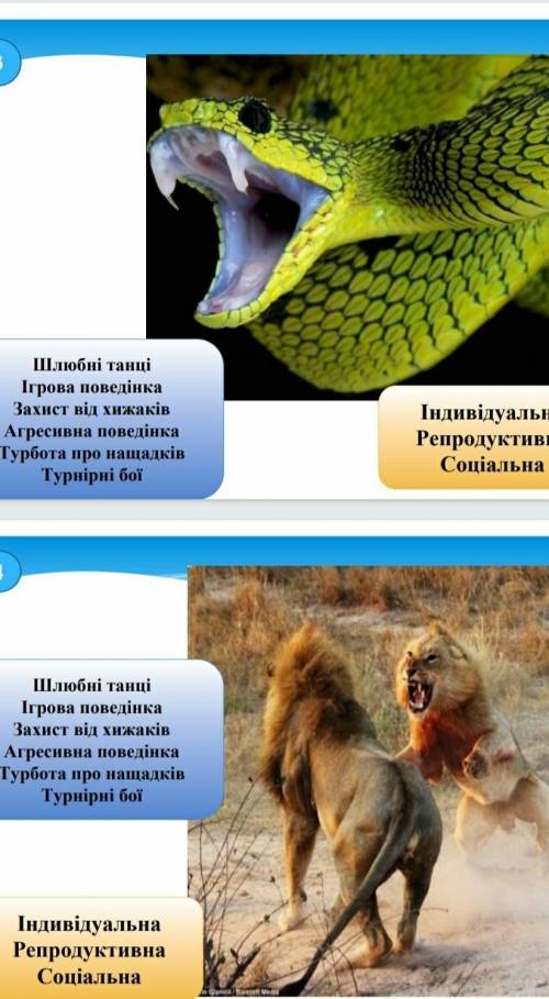 Практична робота 7 Визначення форм поведінки тваринМета навчитися розпізнавати форми 