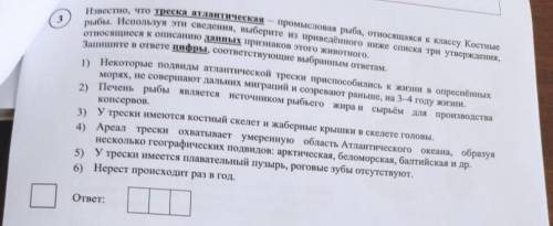 плз. Биология 7 класс. Костные рыбы