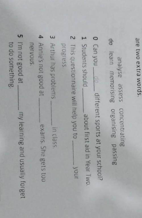 Complete the sentences with the verbs in the correct form​
