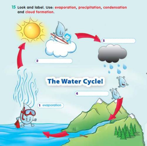 Activity Book Ex: 15 Page 76 я не знаю как