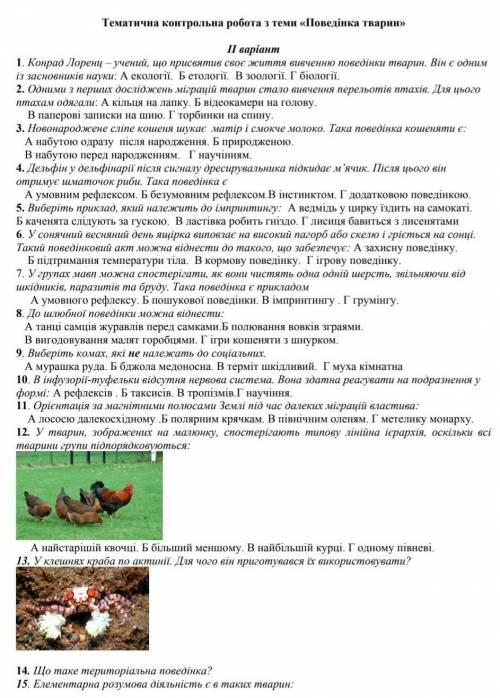(хочаб якісь відповіді) будь ласка