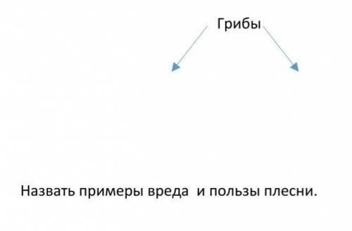 Естествознание вред и польза плесени грибов 