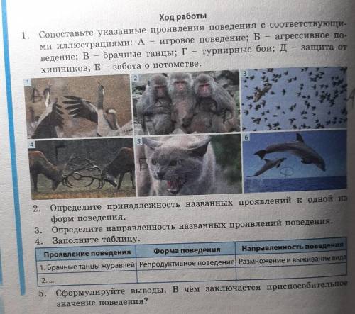 решить биологию (минимум 3 задания из 5 )