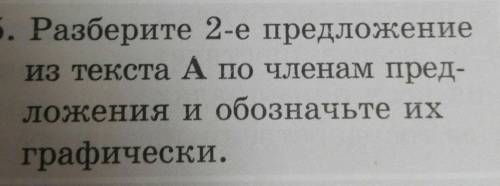 На их открытие команды выстраиваются в алфавитном порядке по первым буквам своих стран 